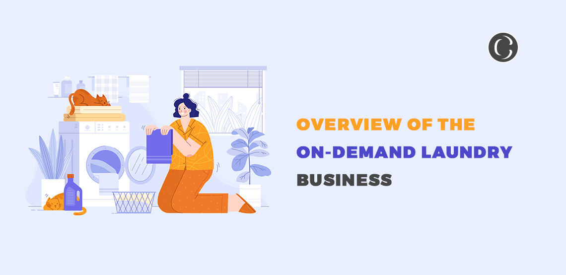 Insights Of An On-Demand Laundry Business