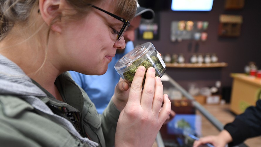 cannabis delivery app development